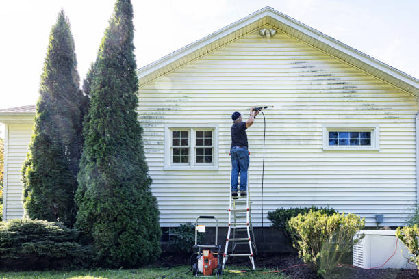 Best Gutter Cleaning  in Belleview, FL