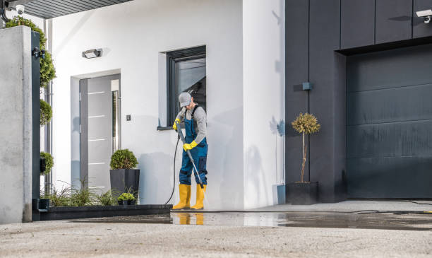 Best Soft Washing  in Belleview, FL